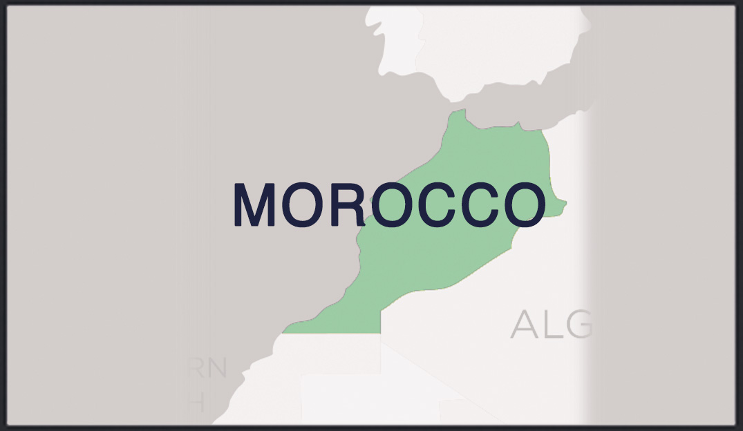 Microplus Germany of Maroc